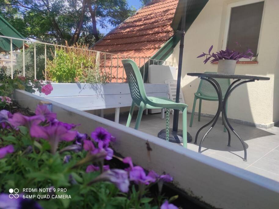 Amanda'S Place Central Modern Spacious Family Apt زخرون يعقوب المظهر الخارجي الصورة